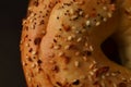 Macro close-up of sesame seed onion bagel Royalty Free Stock Photo