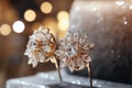 Macro shot golden earings with amazing ivory diamonds in a jewelry shop. Royalty Free Stock Photo