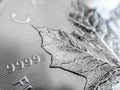 Macro Close up of a 999% Silver Canadian Maple Leaf Bullion Coin Royalty Free Stock Photo