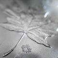 Macro Close up of a 999% Silver Canadian Maple Leaf Bullion Coin Royalty Free Stock Photo