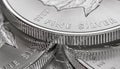 Macro Close up of a Silver Canadian Maple Leaf Bullion Coin Royalty Free Stock Photo