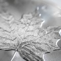 Macro Close up of a 999% Silver Canadian Maple Leaf Bullion Coin Royalty Free Stock Photo