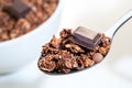 Macro close up of spoon with chocolate muesli.