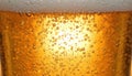 Macro close up of tiny bubbles and foam head of refreshing glass of golden beer or lager, emphasizing carbonation and Royalty Free Stock Photo