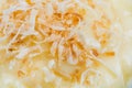 Macro close up of toasted coconut Royalty Free Stock Photo