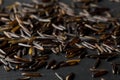 Macro close up of uncooked, raw, black wild rice grains on dark stone background Royalty Free Stock Photo