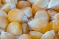 Macro close-up for unpopped corn kernel Royalty Free Stock Photo