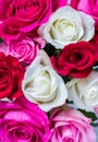 Macro close up of various roses.