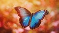 Macro Close-Up of Vibrant Blue Morpho Butterfly Wings.