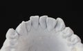 Macro close up view of plaster model of crowns of lower front teeth Royalty Free Stock Photo
