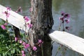 Close up rustic fencing by the river