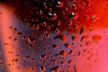 Macro close up wine glass and red or rose wine Royalty Free Stock Photo