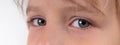 Macro close up young child blonde boys grey eye, blonde eyebrows and brown lashes. Caucasian light skin. Eye health care Royalty Free Stock Photo