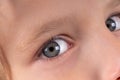 Macro close up young child blonde boys grey eye, blonde eyebrows and brown lashes. Caucasian light skin. Eye health care Royalty Free Stock Photo