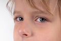 Macro close up young child blonde boys grey eye, blonde eyebrows and brown lashes. Caucasian light skin. Eye health care Royalty Free Stock Photo