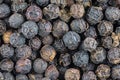 Macro closeup background of black pepper corn Royalty Free Stock Photo