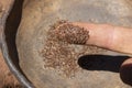 Macro black sage seed on finger