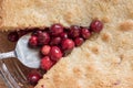 Macro closeup of cranberry pie Royalty Free Stock Photo