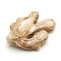 Macro closeup of a Dried Ginger root. Royalty Free Stock Photo