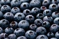 Macro Closeup of Fresh Tasty Blueberry Berry. Summer Food. Food