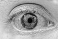 Macro closeup grayscale shot of a human eye with reflection Royalty Free Stock Photo