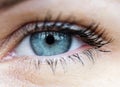 Macro closeup of human blue eye