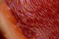 Macro closeup of the inner walls of a red bell pepper & x28;also known as sweet pepper and capsicum, paprika
