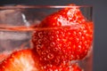 Macro closeup of isolated cocktail glass with red strawberries, sparkling tonic water and ice cubes