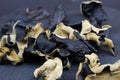 Macro closeup of isolated dried chinese mu-err mushrooms on slate stone background Royalty Free Stock Photo