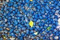 Macro closeup of lot of whole blue clay pebbles, leca flatlay Royalty Free Stock Photo