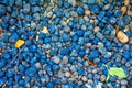 Macro closeup of lot of whole blue clay pebbles, leca flatlay Royalty Free Stock Photo