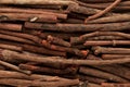 Macro closeup of organic Manjistha (Rubia cordifolia).