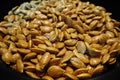 Macro closeup pumpkin seeds on black dish brown skin