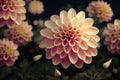 Macro closeup ravishing of blooming dahlia flower petal during springtime.