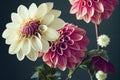 Macro closeup ravishing of blooming dahlia flower petal during springtime.