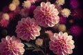 Macro closeup ravishing of blooming dahlia flower petal during springtime.