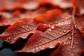 Macro closeup of red maple leaves, rain drops. Generative AI Royalty Free Stock Photo