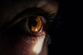 Macro closeup shot of a human eye looking to a small light from a dark room Royalty Free Stock Photo