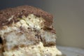 Macro closeup shot of a piece of Cake tiramisu with brown chocolate sprinkle macro for an interesting background similar to a