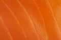 Macro closeup texture of pink salmon meat