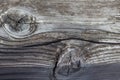 macro closeup of tree stump with knot and tree rings