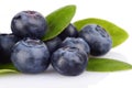 Macro closeup view blueberries leaves isolated white Royalty Free Stock Photo