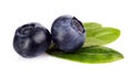 Macro closeup view blueberries leaves isolated white Royalty Free Stock Photo