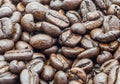 Macro coffee bean