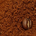 Macro coffee bean, background