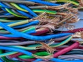 Macro of colorful electric cable with high quality grade Royalty Free Stock Photo