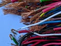 Macro of colorful electric cable with high quality grade on isolated background Royalty Free Stock Photo