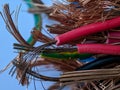 Macro of colorful electric cable with high quality grade on isolated background Royalty Free Stock Photo