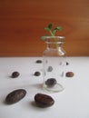 Macro composition with empty glass container and coffee beans