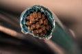 Macro copper wire - Close up of cable end Royalty Free Stock Photo